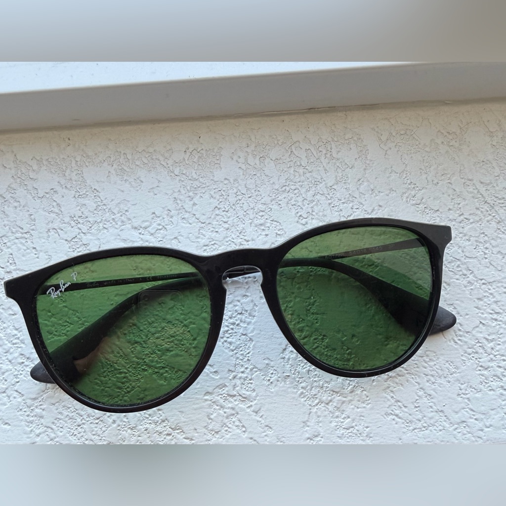Ray-Ban Erika Black Classic Polarized Sunglasses